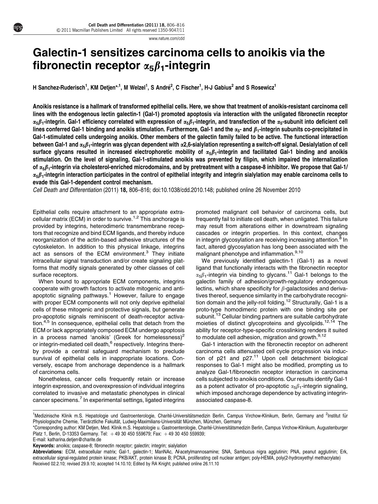 Galectin-1 sensitizes carcinoma cells to anoikis via the fibronectin receptor &alpha;5&beta;1-integrin by H Sanchez-Ruderisch & K M Detjen & M Welzel & S Andr&&eacute; & C Fischer & H-J Gabius & S Rosewicz