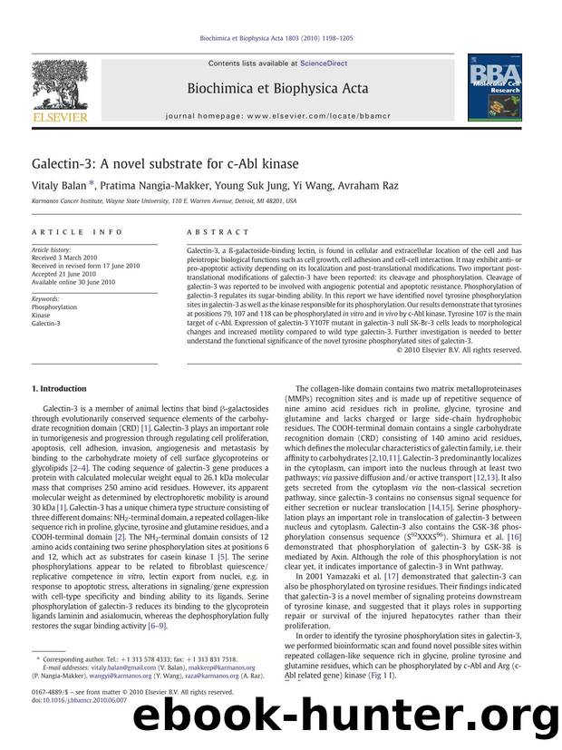 Galectin-3: A novel substrate for c-Abl kinase by Vitaly Balan