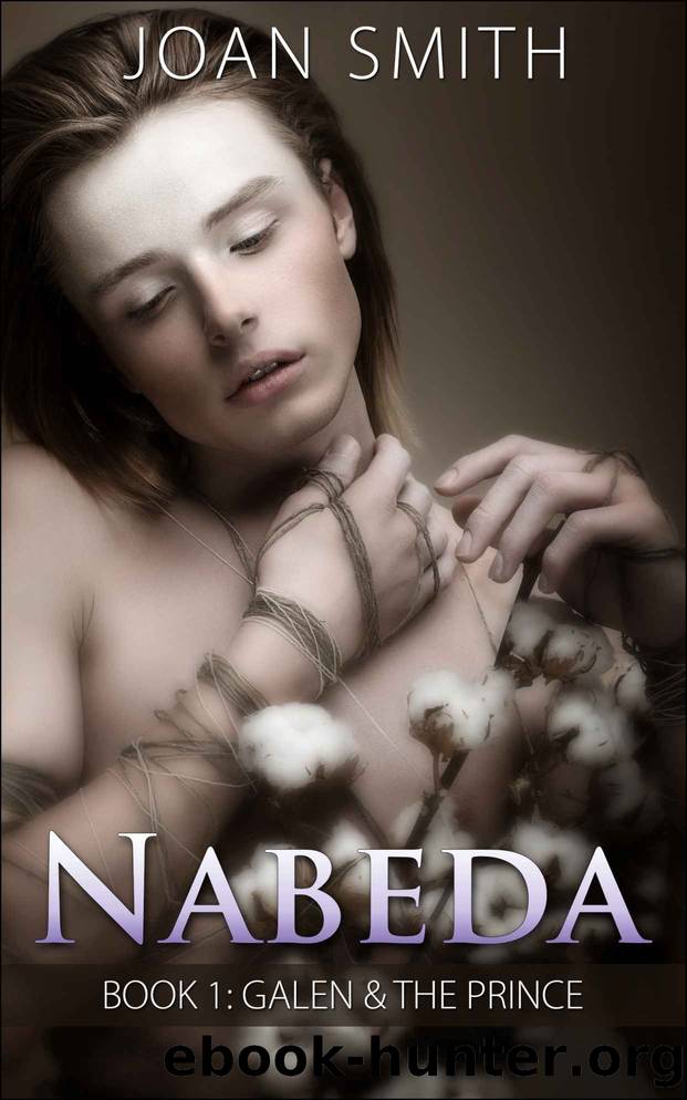 Galen & The Prince (Nabeda Book 1) by Joan Smith