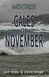 Gales of November: A Ray Elkins Thriller (Ray Elkins Thrillers Book 9) by Aaron Stander