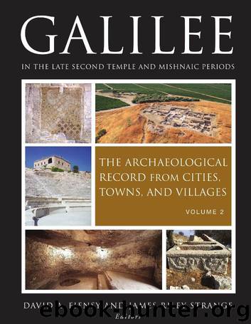 Galilee in the Late Second Temple and Mishnaic Periods: The Archaeological Record from Cities, Towns, and Villages: 2 by David A. Fiensy