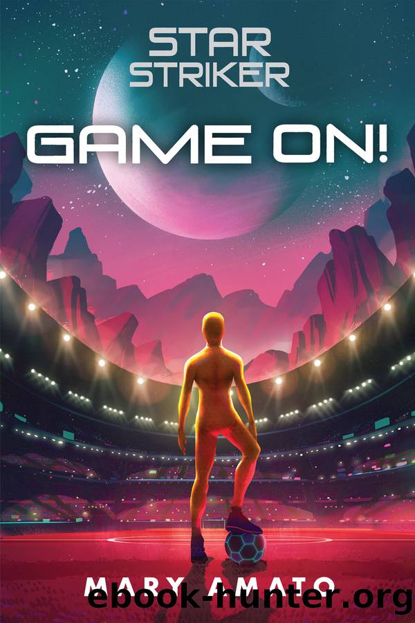 Game On! by Mary Amato