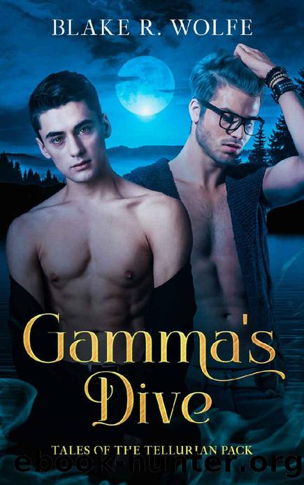 Gamma's Dive: An MM Standalone Werewolf Shifter Romance (Tales of the Tellurian Pack Book 3) by Blake R. Wolfe