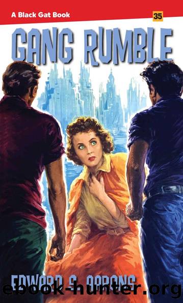 Gang Rumble by Edward S. Aarons