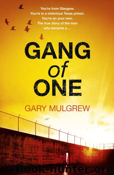 Gang of One: One Man's Incredible Battle to Find His Missing by Gary Mulgrew