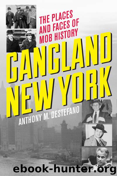 Gangland New York by Anthony M. DeStefano