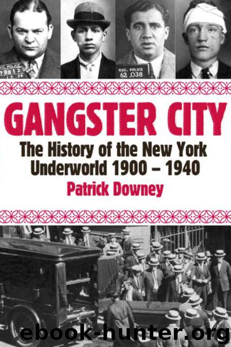 Gangster City: The History of the New York Underworld 1900-1935 by Patrick Downey