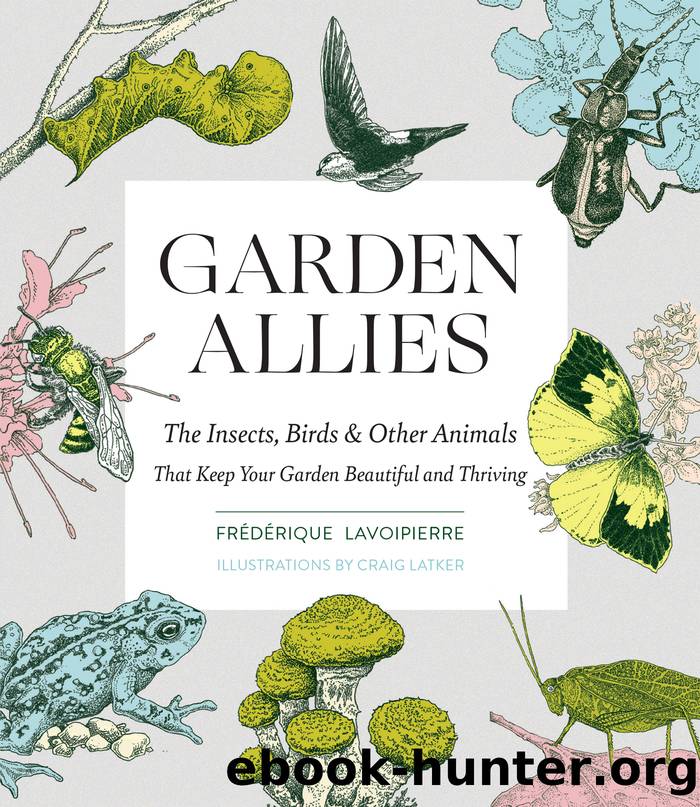 Garden Allies by Frederique Lavoipierre