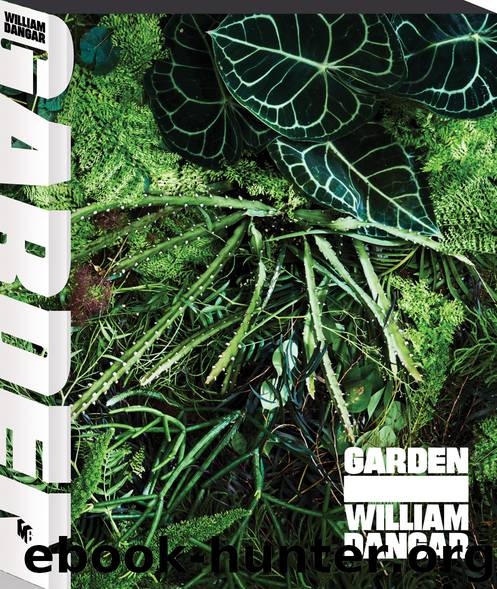 Garden by William Dangar