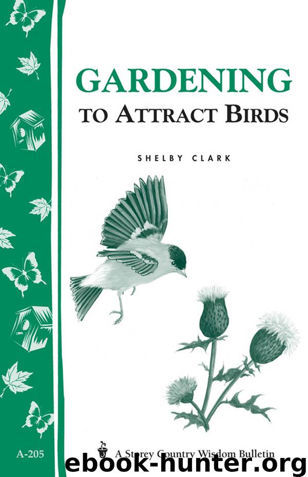 Gardening to Attract Birds by Shelby Clark