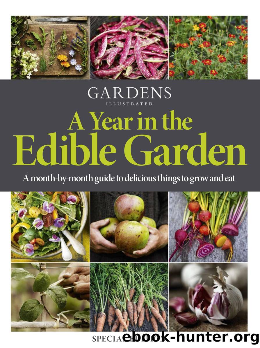 Gardens Illustrated Specials by A Year in the Edible Garden 2025