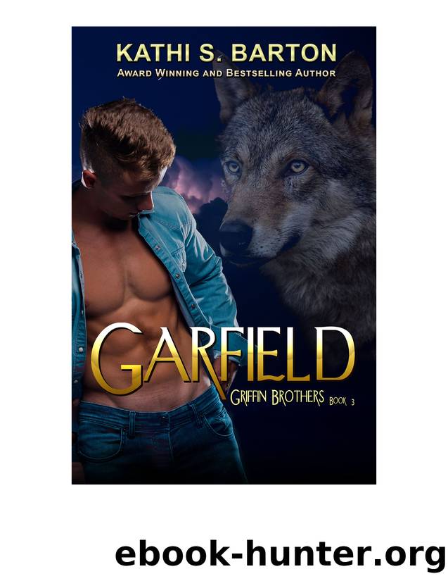 Garfield by Kathi S Barton