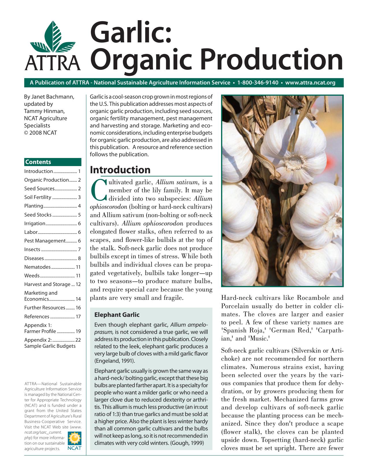 Garlic: Organic Production ~ PDF by amys