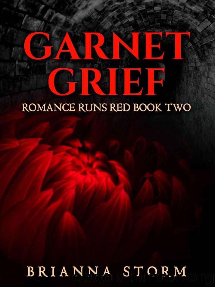 Garnet Grief (Romance Runs Red Book 2) by Storm Brianna