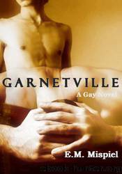 Garnetville: A Gay Novel by E. M. Mispiel
