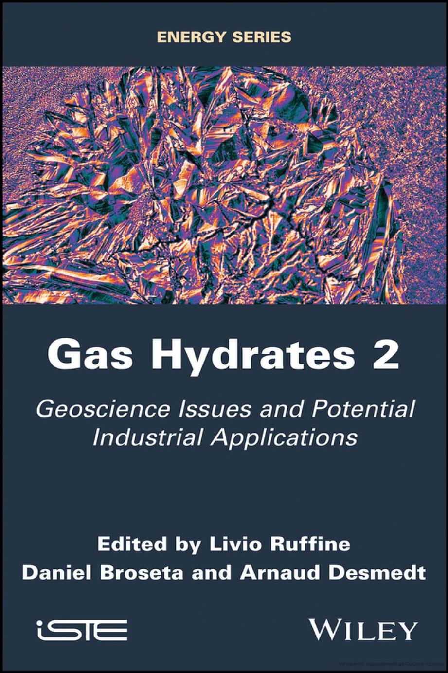 Gas Hydrates 2: Geoscience Issues and Potential Industrial Applications by Livio Ruffine Daniel Broseta Arnaud Desmedt