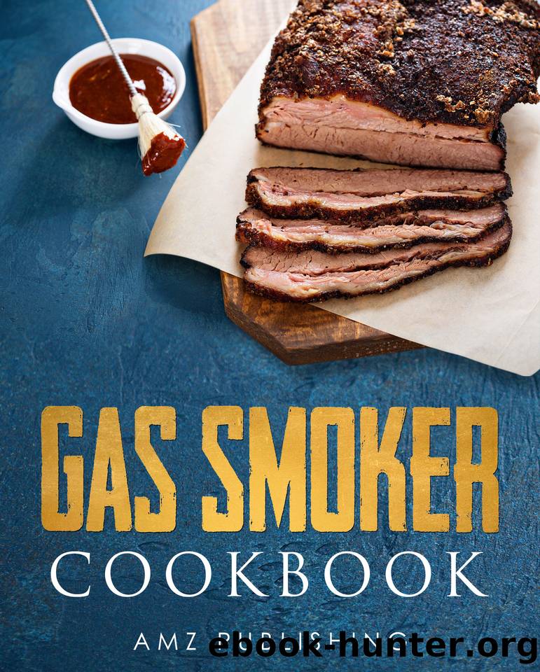 Gas Smoker Cookbook: Ultimate Gas Smoker and Grill Cookbook for Smoking and Grilling by Publishing AMZ