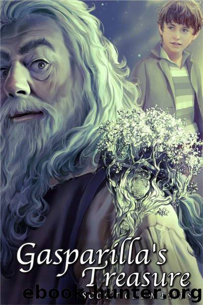 Gasparilla's Treasure (Trip Mongomery Book 1) by Scott Clements