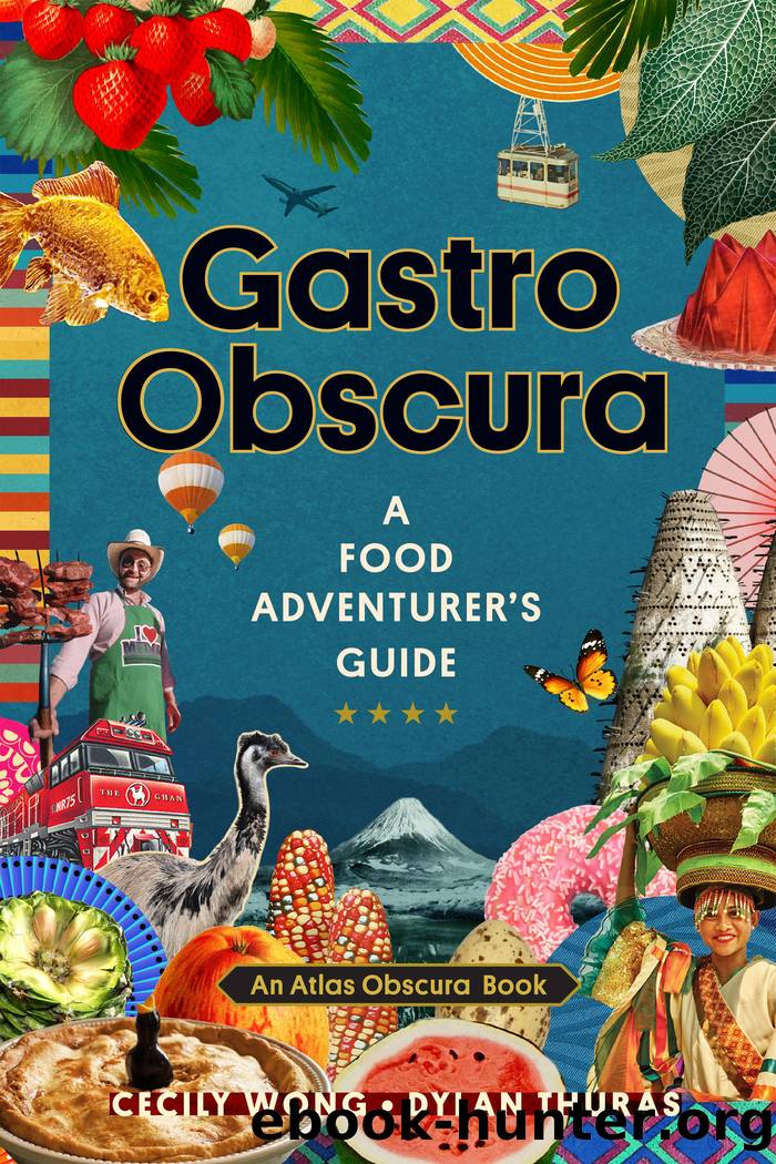 Gastro Obscura by Cecily Wong