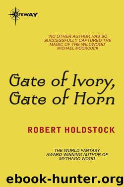 Gate of Ivory, Gate of Horn by Robert Holdstock
