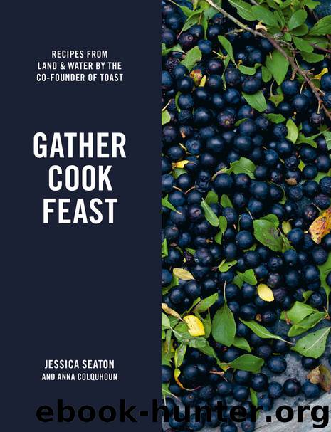 Gather Cook Feast: Recipes from Land and Water by the Co-Founder of Toast by Seaton Jessica