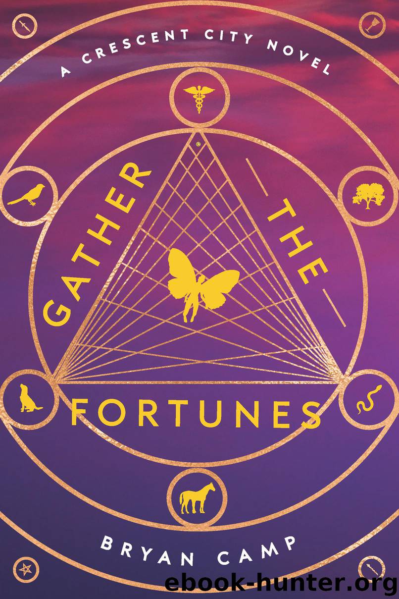 Gather the Fortunes by Bryan Camp