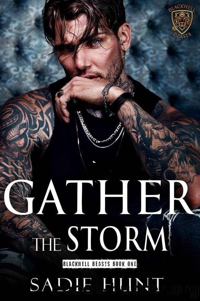 Gather the Storm: A Dark New Adult Romance by Sadie Hunt