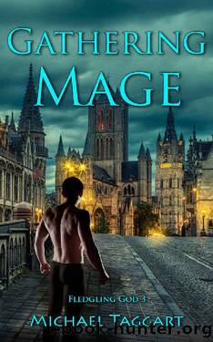 Gathering Mage: Fledgling God: book 3 by Michael Taggart
