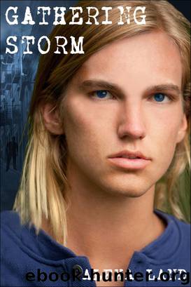 Gathering Storm by Alexa Land