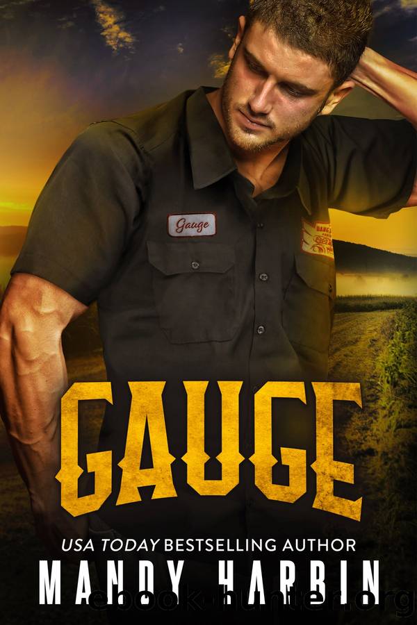 Gauge by Mandy Harbin