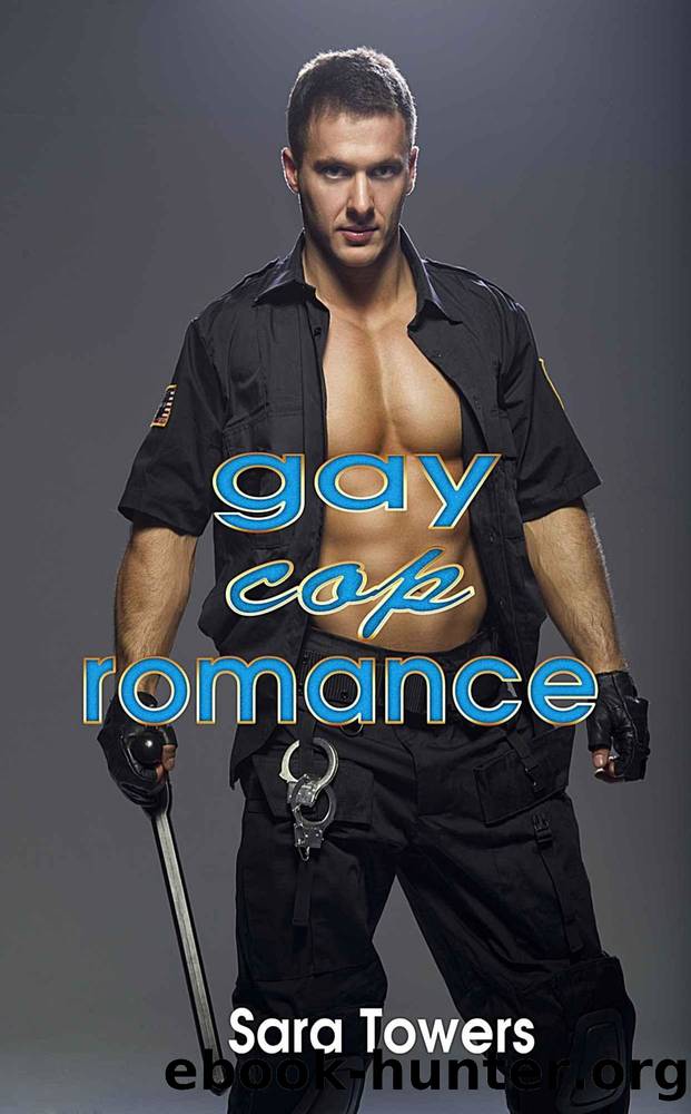 Gay Cop Romance by Sara Towers