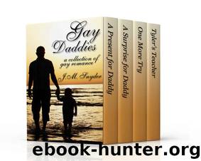 Gay Daddies Romance Box Set by J.M. Snyder