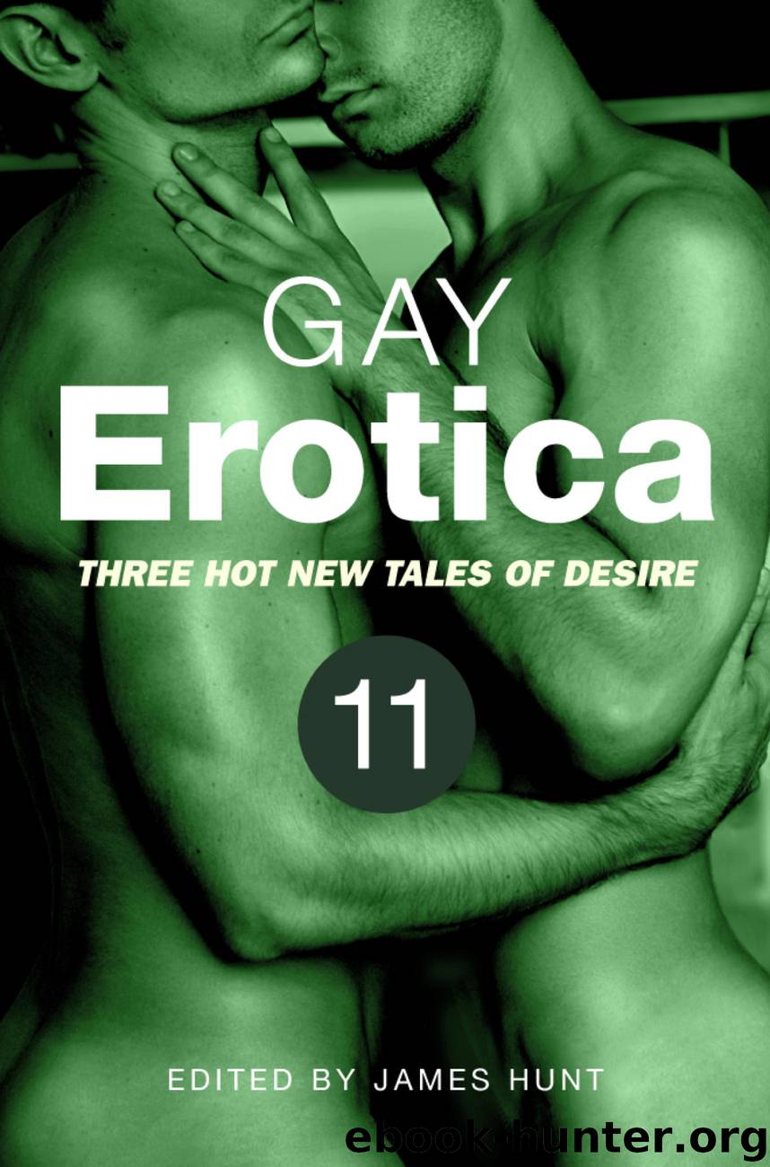 Gay Erotica, Volume 11 by Author