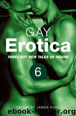 Gay Erotica, Volume 6 by James Hunt