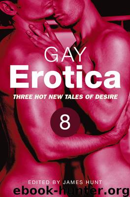 Gay Erotica, Volume 8 by James Hunt