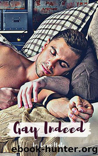 Gay Indeed by Lara Hale