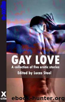 Gay Love by Lucas Steele Elizabeth Coldwell Celyn Lleuad Alcamia Payne John Connor Sommer Marsden