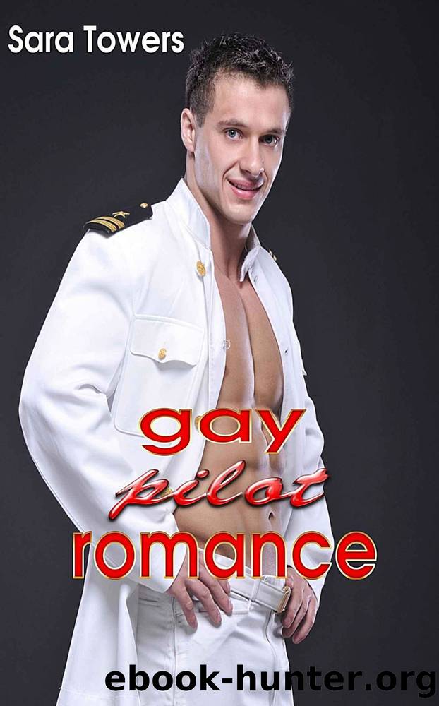 Gay Pilot Romance by Sara Towers