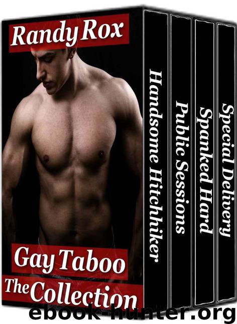 Gay Taboo, the Collection by Randy Rox & Danii Dezire