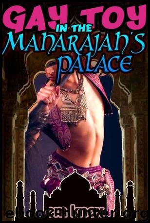 Gay Toy in the Maharajah's Palace (Gay Historical Erotica) by Knox C.M