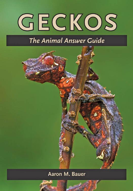 Geckos: The Animal Answer Guide by Aaron M. Bauer