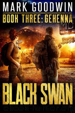 Gehenna: A Novel of America's Coming Financial Nightmare (Black Swan Book 3) by Mark Goodwin