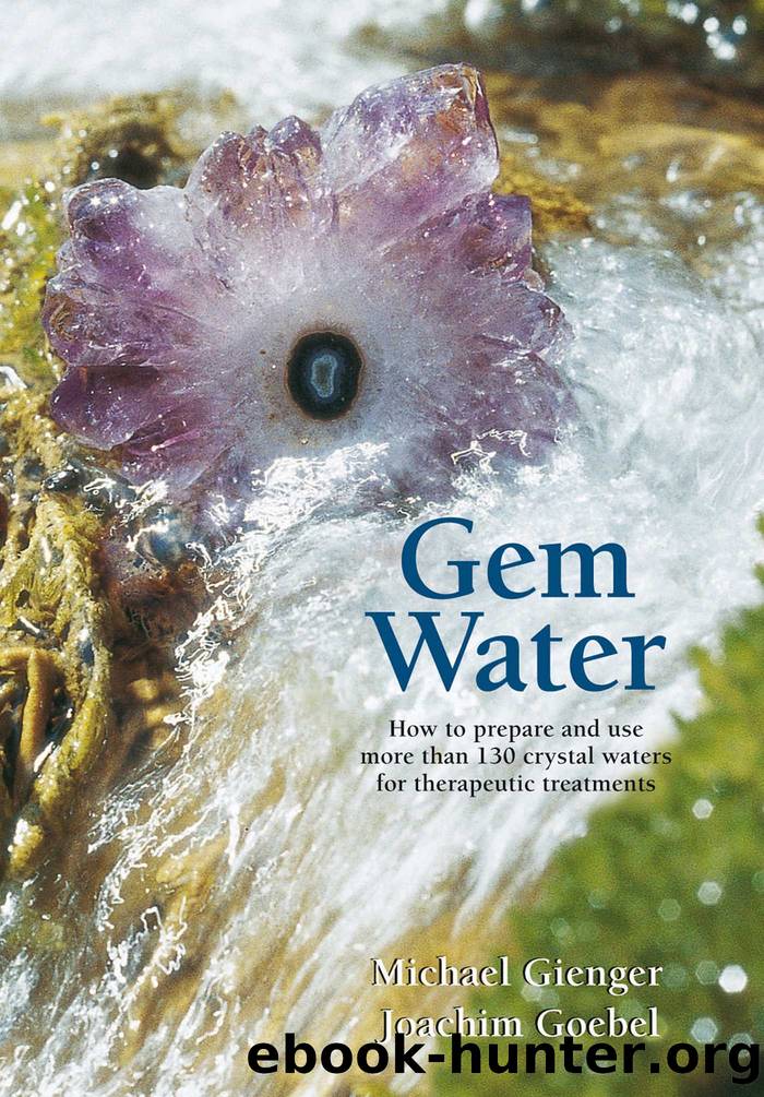Gem Water by Joachim Goebel Michael Gienger