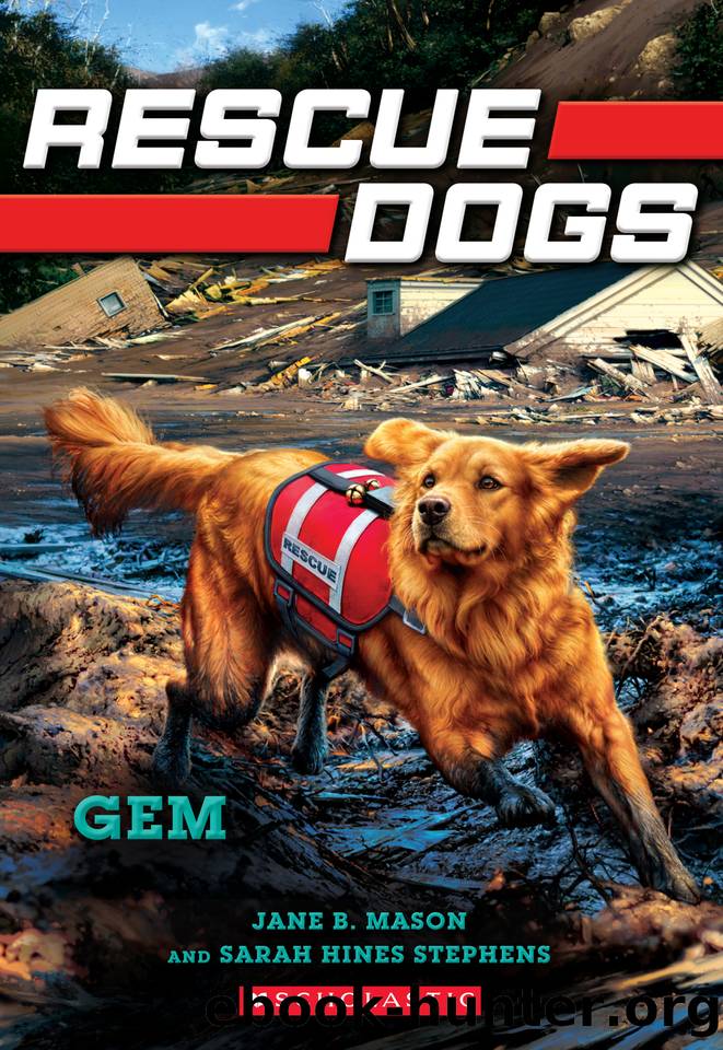 Gem by Jane B. Mason