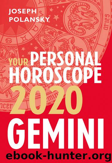 Gemini 2020 by Joseph Polansky