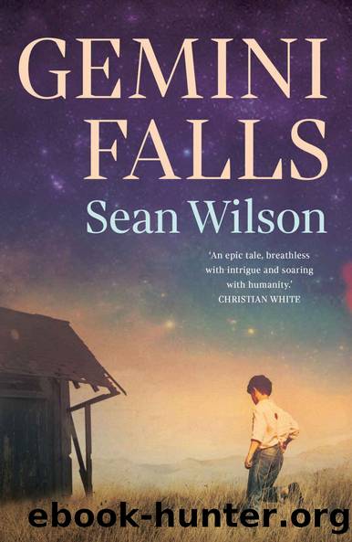 Gemini Falls by Sean Wilson