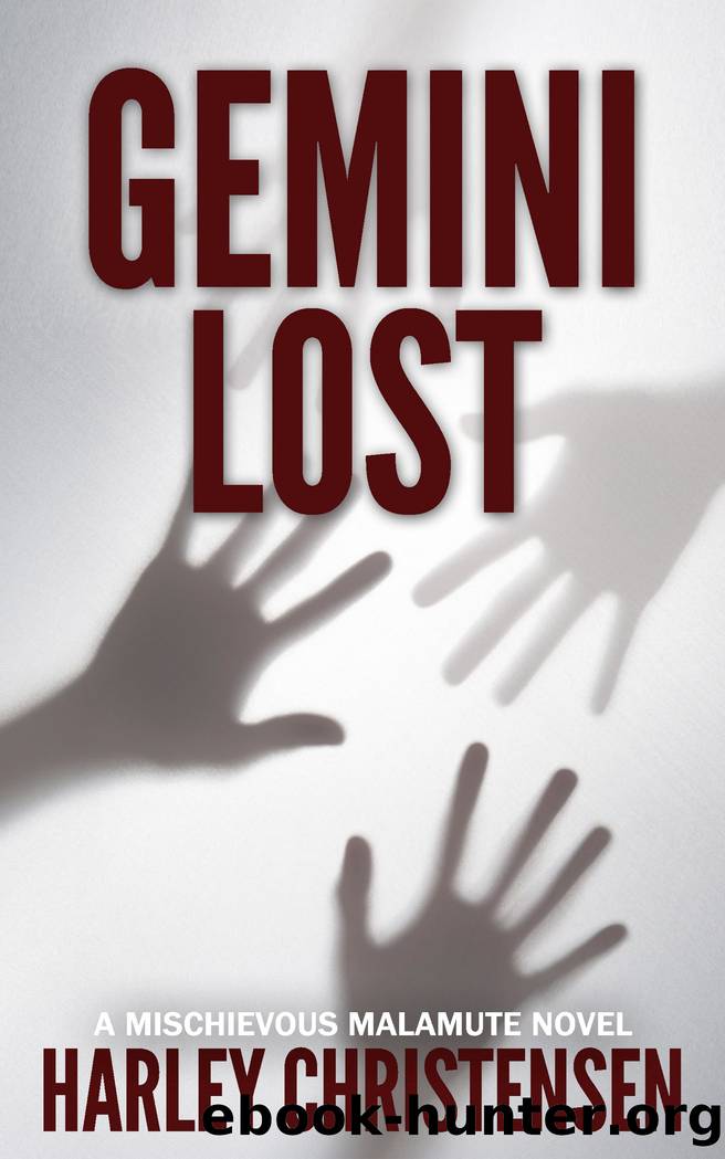 Gemini Lost by Harley Christensen