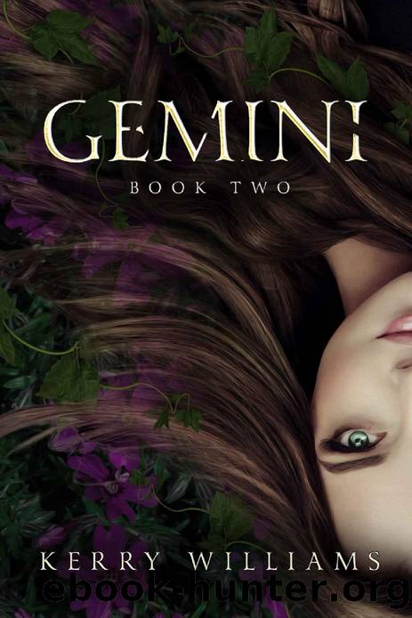 Gemini by Kerry Williams