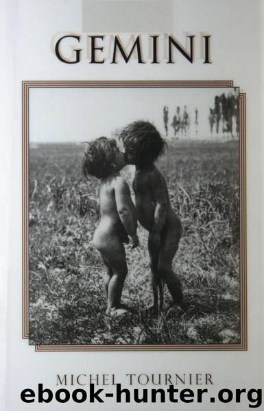 Gemini by Michel Tournier