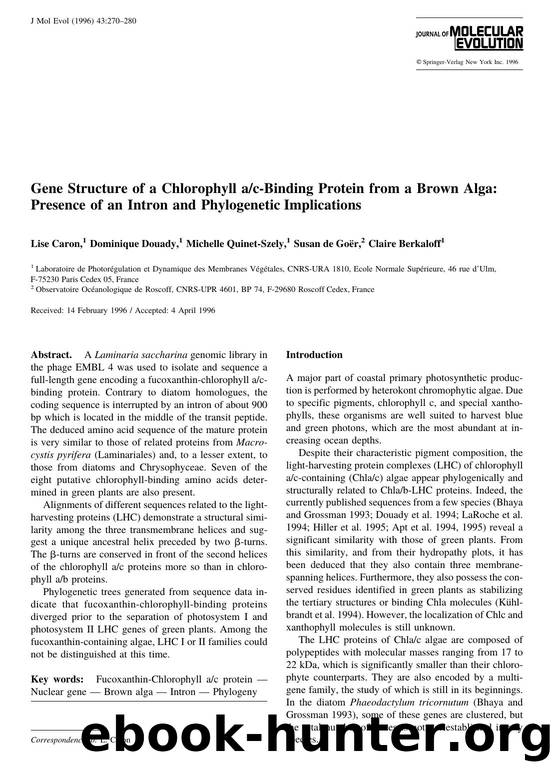 Gene Structure of a Chlorophyll ac-Binding Protein from a Brown Alga: Presence of an Intron and Phylogenetic Implications by Caron L. et al